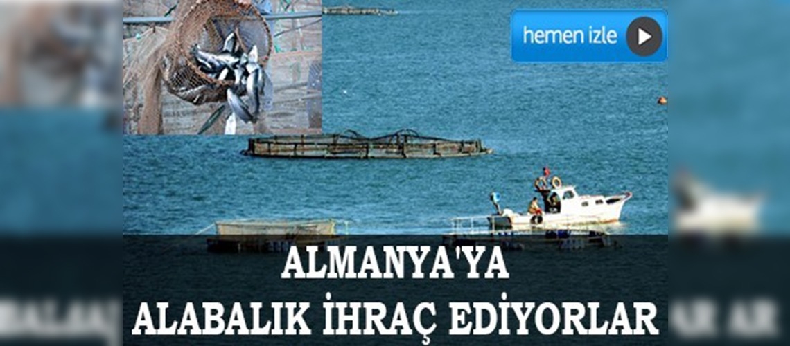 Almus'tan Almanya'ya alabalık ihracatı