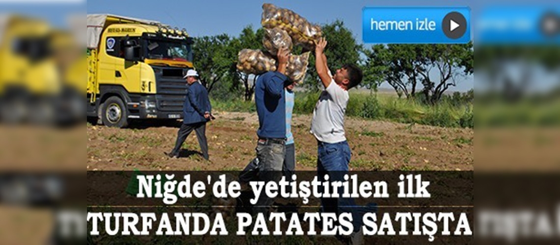 Niğde'de turfanda patates hasadı başladı