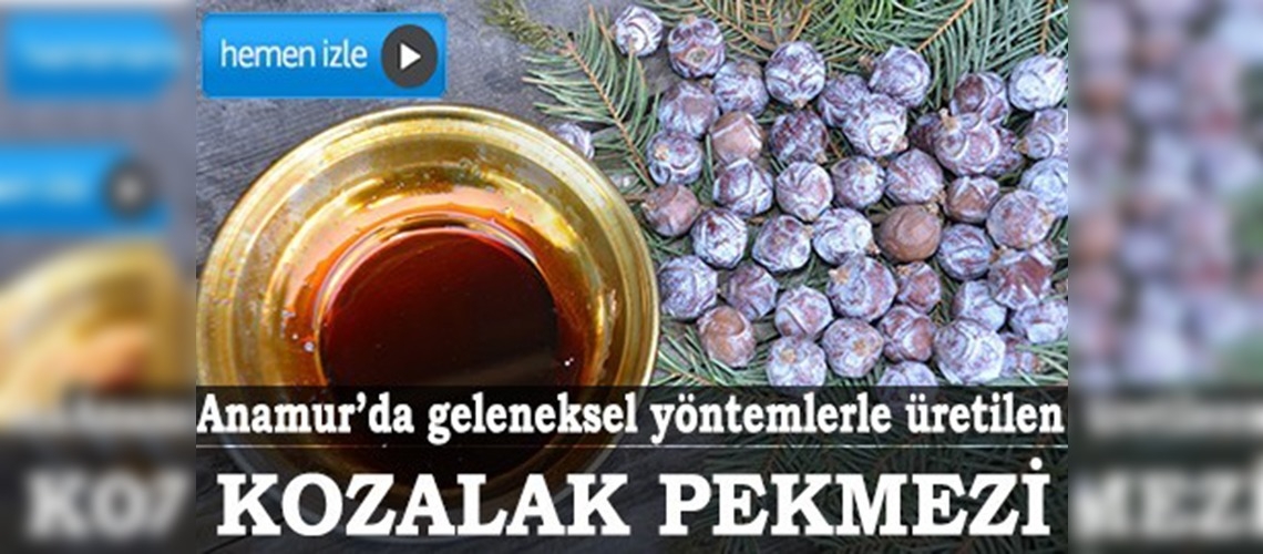 Kozalakların pekmez yolculuğu