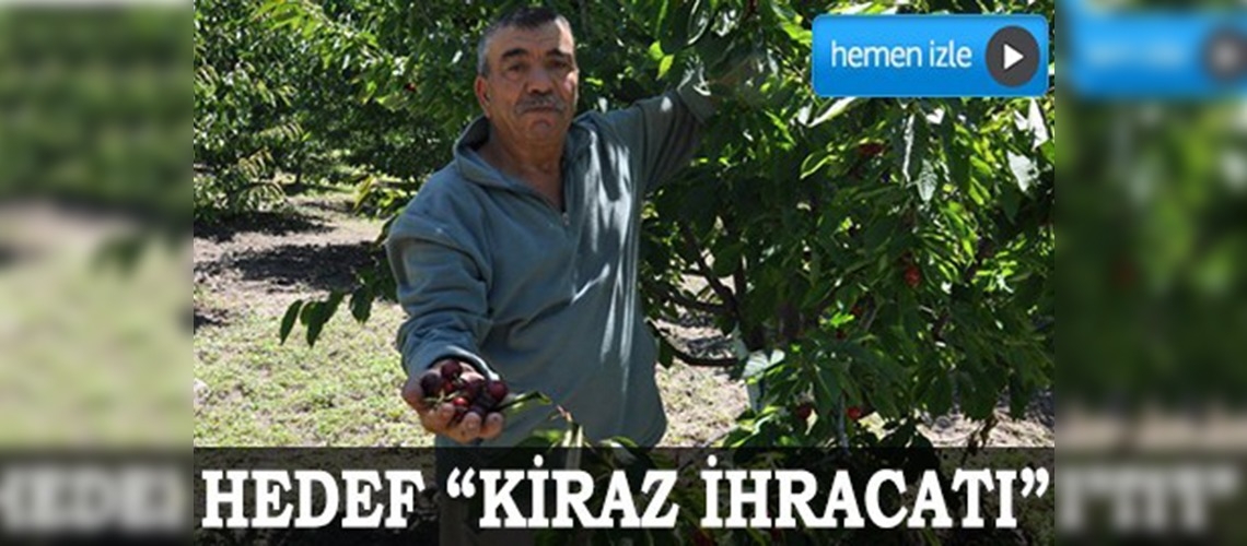 Güdülde hedef kiraz ihracatı
