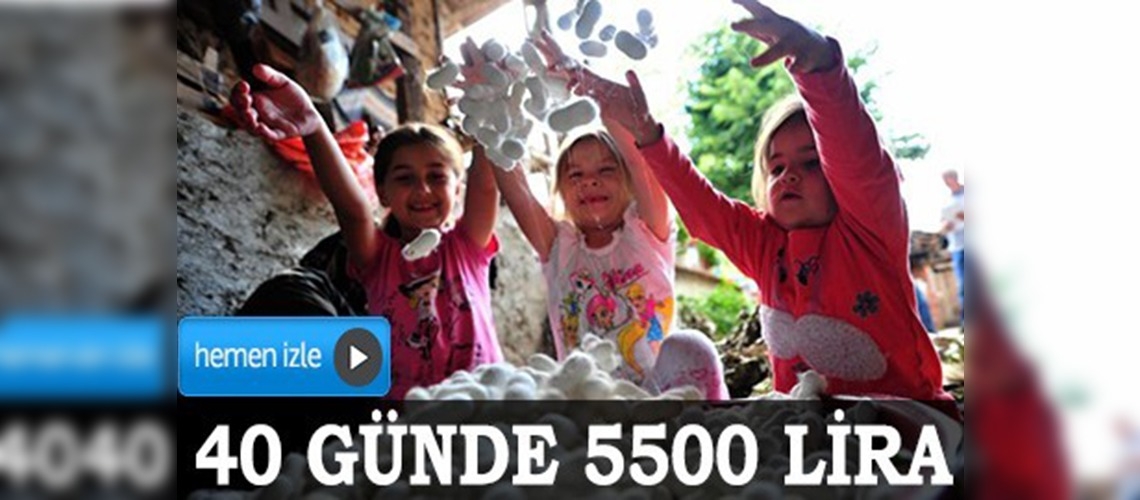 İpek böceği 40 günde 5 bin 500 lira kazandırıyor