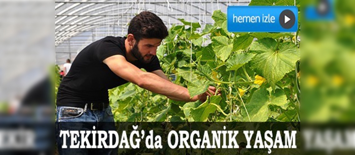 Tekirdağda organik yaşam 