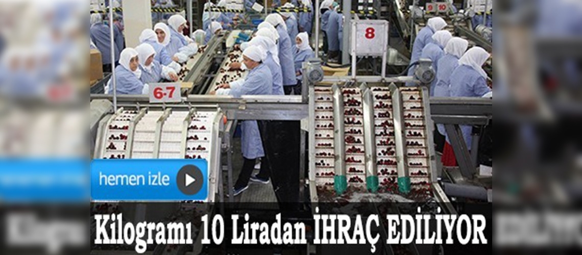 Çinliler Bursa kirazı yiyecek