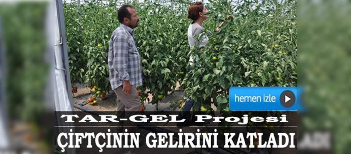 TAR-GEL projesi çiftçinin gelirini katladı