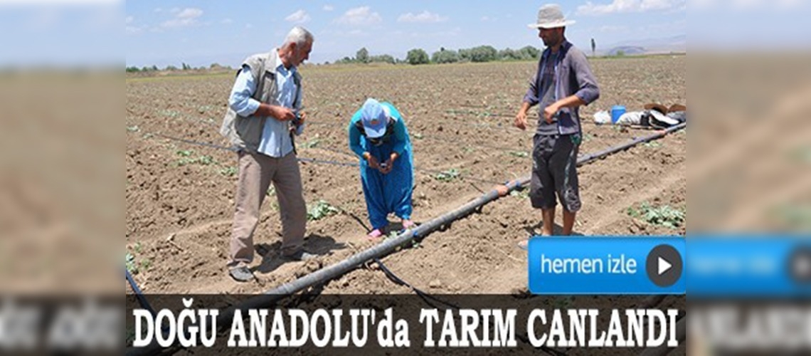 Çözüm süreci, Doğu Anadolu'da tarımı canlandırdı