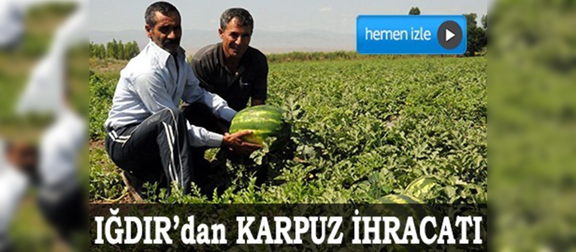 Iğdır'ın köyünden Avrupa'ya karpuz ihracatı