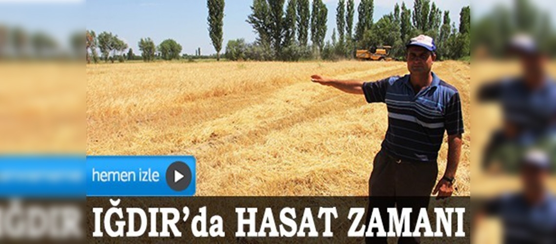 Iğdırda ilk arpa hasadı yapıldı