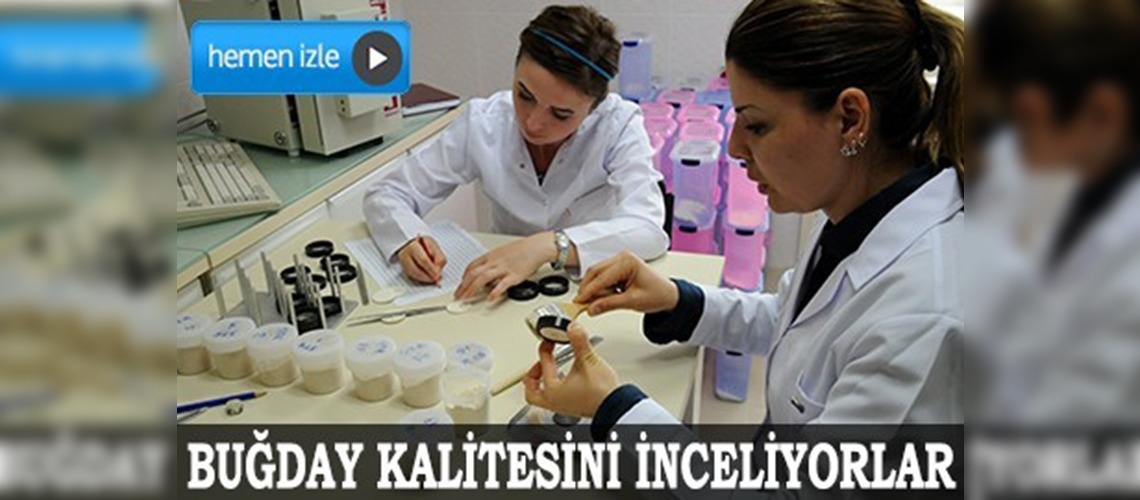 İnsanların beslenmesinde 'kalite' arıyorlar