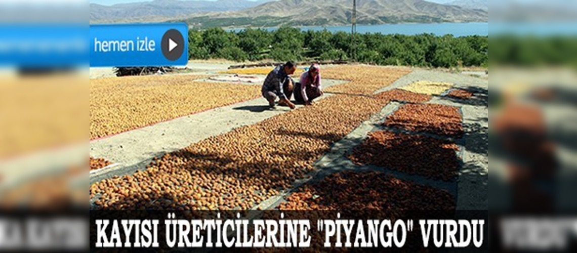 Karakaya kıyısındaki kayısı üreticilerine 'piyango' vurdu