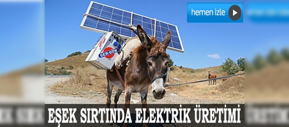 Eşek sırtında elektrik üretimi