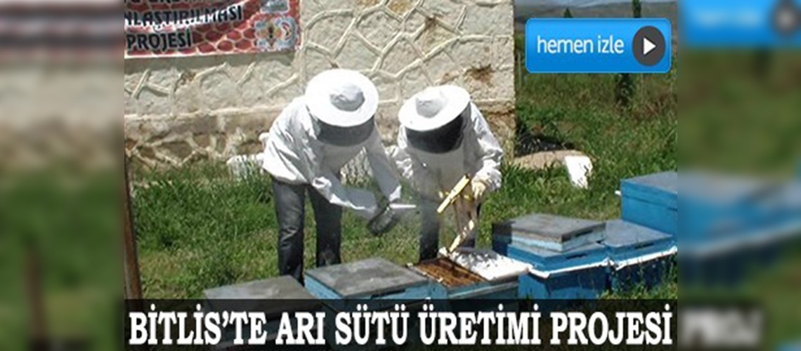 Hizan'ın kaderi 'arı sütü' ile değişecek