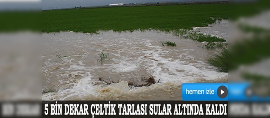 İpsala'da ekili alanlar sular altında