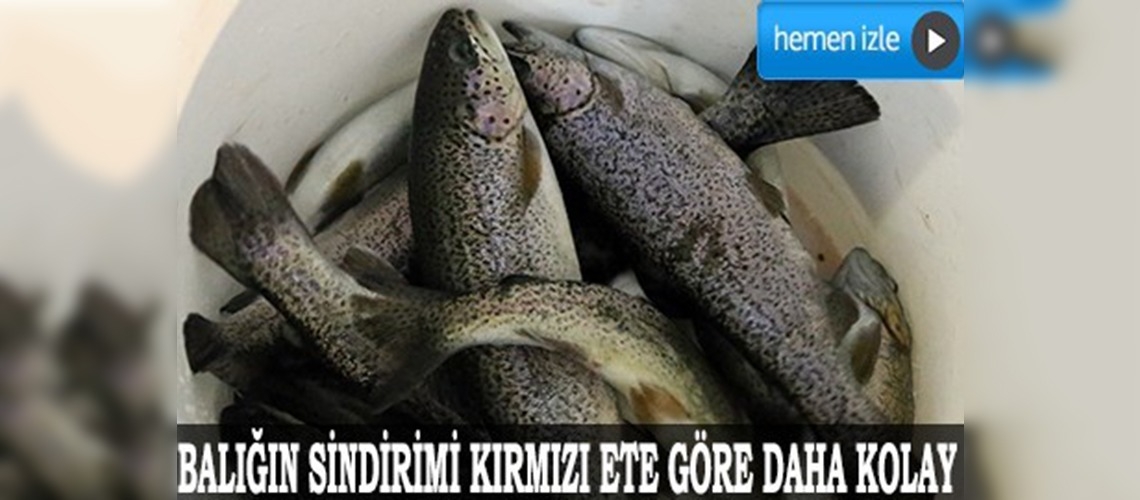 Ramazanda balık tüketimi direnci arttırıyor