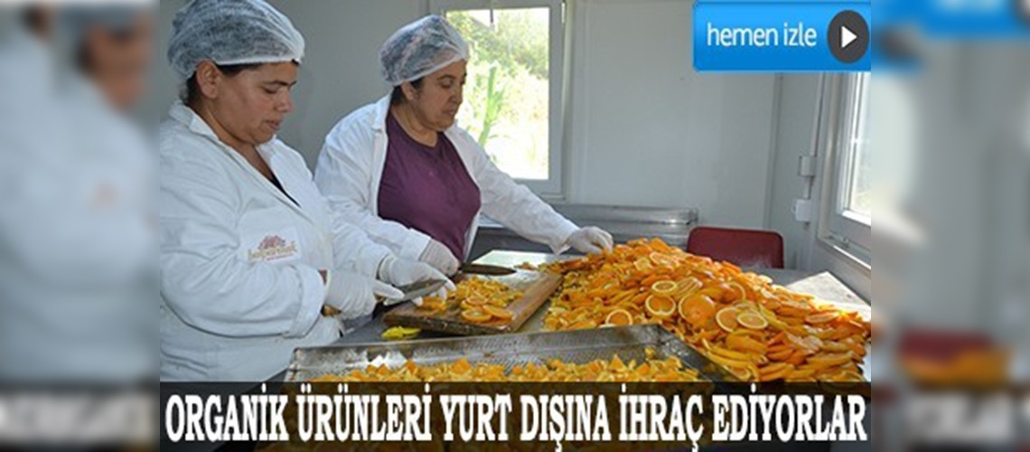 Kadın çiftçiler emeklerini paraya dönüştürüyor