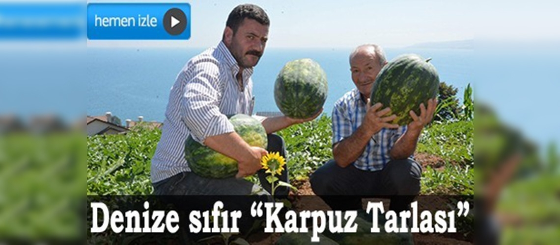 Denize sıfır karpuz tarlası