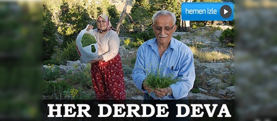 Akseki kekiği her derde deva