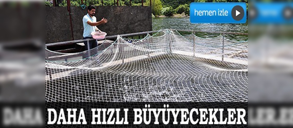 Alabalıklar daha hızlı büyüyecek
