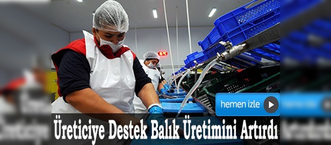 Muğla'dan 67 ülkeye balık ihraç ediliyor