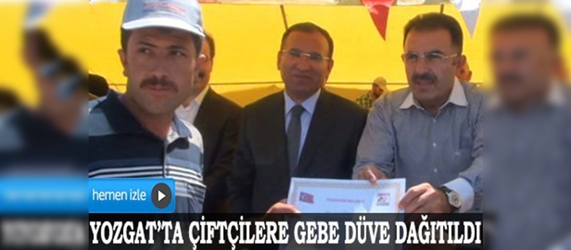 Adalet Bakanı Bozdağ, damızlık düve dağıtım töreninde