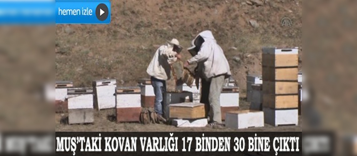 Çözüm süreci, Doğuyu ballandırdı 