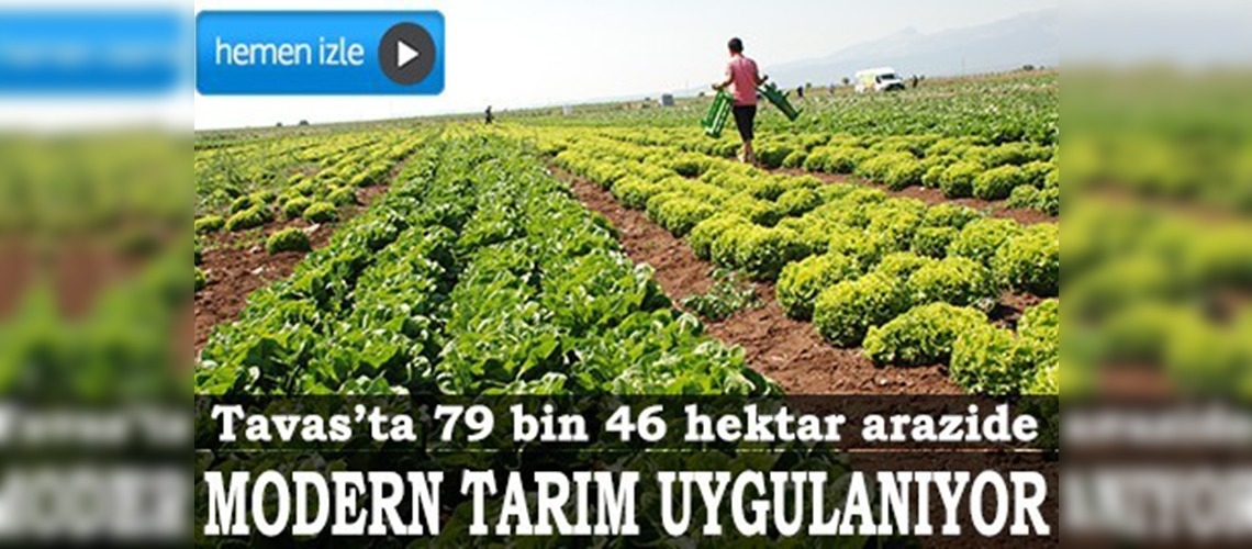 Toplulaştırılan alanlar tarıma açıldı üretim arttı