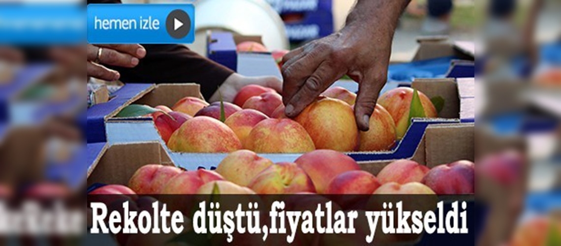 Düşük rekolte şeftali fiyatlarını artırdı