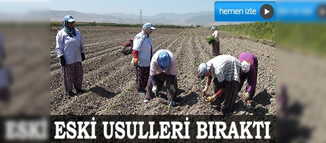 Eski usulleri bıraktı tüplü fideye geçti