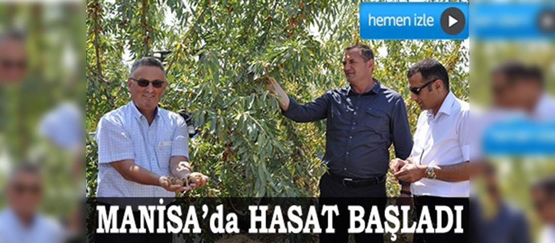 Badem diyarı Manisada hasat başladı
