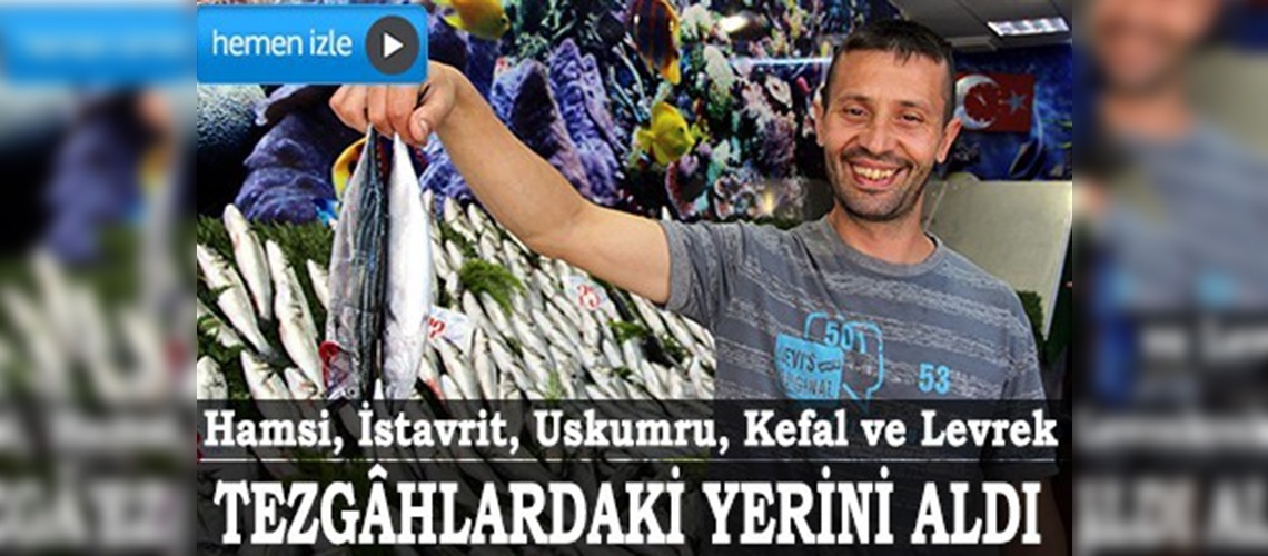  Balık tezgâhları şenlendi 