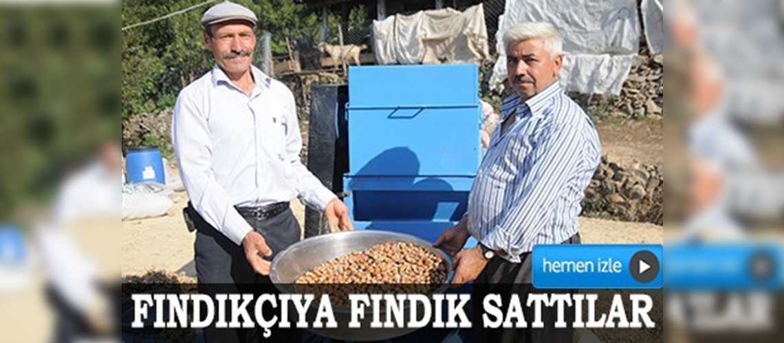 Fındıkçıya fındık sattılar