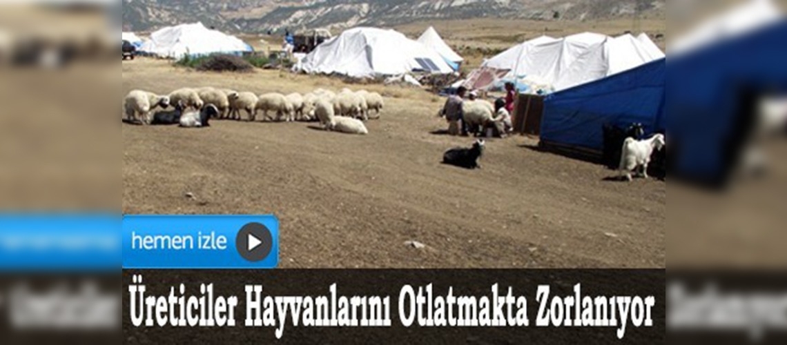 Kuraklık Malatyalı hayvan üreticilerini de etkiledi