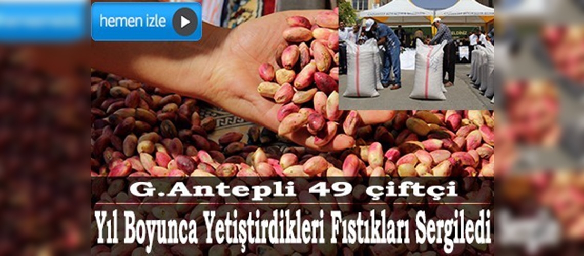 En İyi Antep Fıstığı Yarışması 