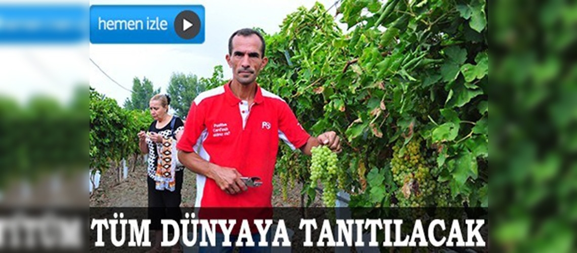 Manisada Sultani Üzüm Şenliği başladı