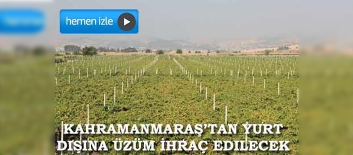 Bağ Bozumu Tarla Günü