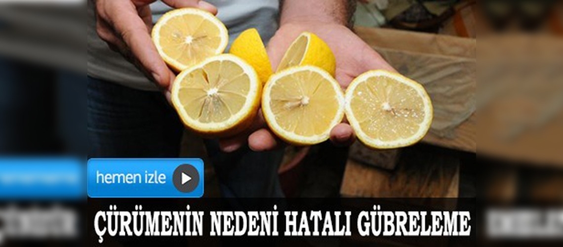 Nevşehirde depolardaki limonlar çürüdü