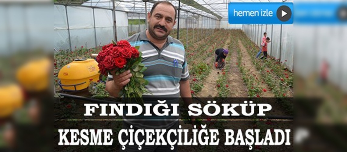 Karadenizde kesme çiçekçilik gelişiyor