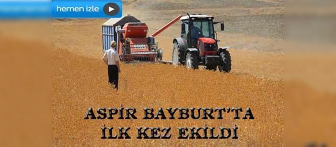 Aspir Bayburtlu çiftçilerin yüzünü güldürdü