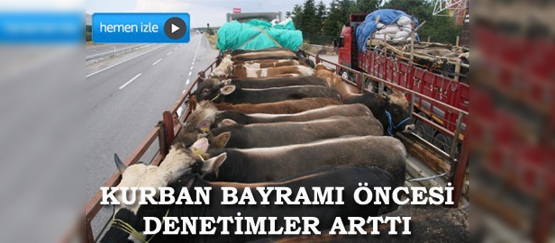 Yozgatta kurbanlık hayvan sevkiyatlarına denetim