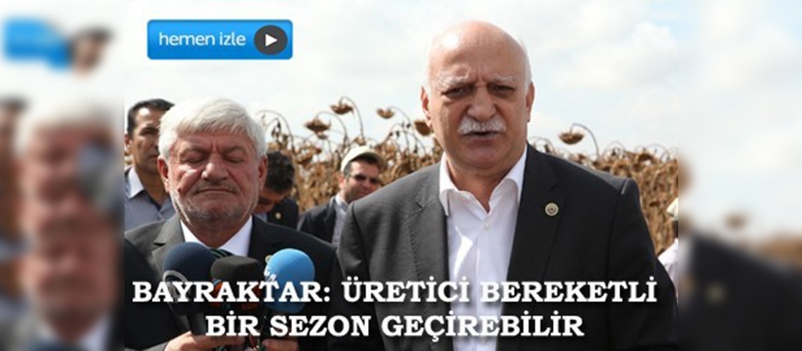 Konyada ayçiçeği hasadı yapıldı