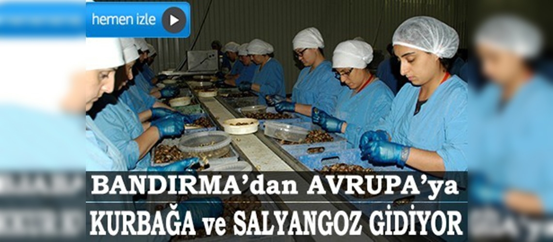 8 milyon dolarlık kurbağa ve salyangoz ihracatı