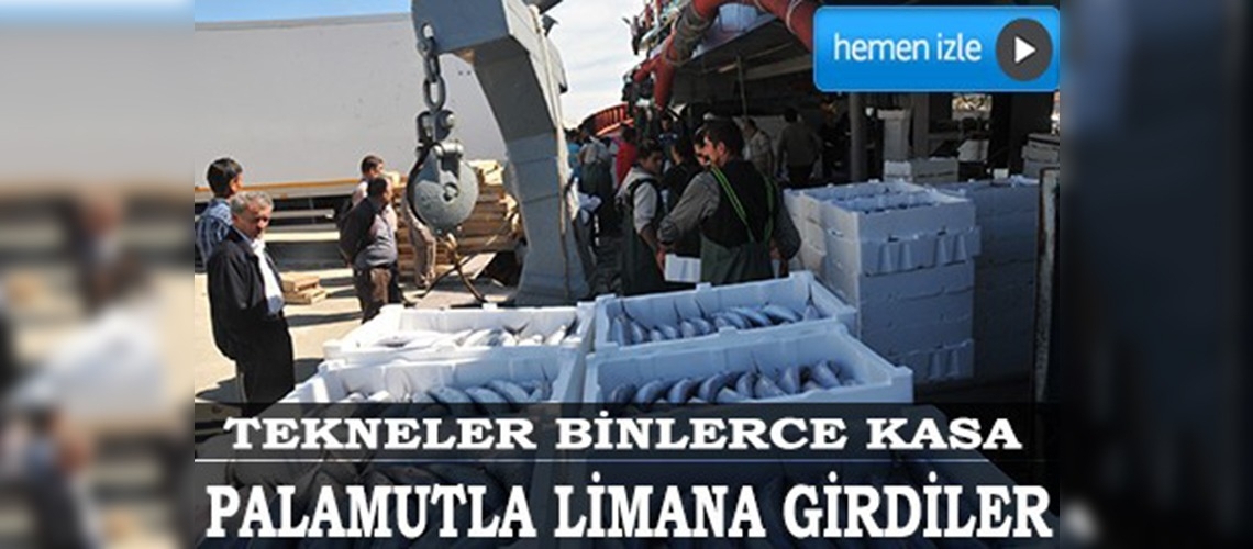 Karadeniz'de palamut bereketi