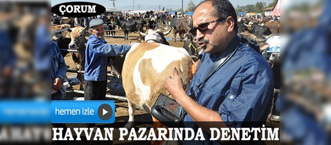 Kurbanlıklara gebelik testi