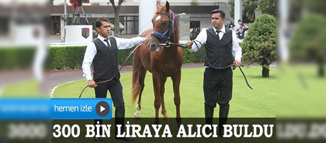 TİGEMin taylarına büyük rağbet