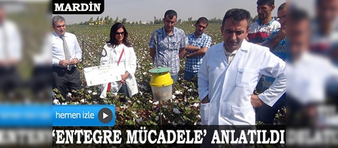 Çiftçilere pamuk yetiştiriciliği eğitimi verildi