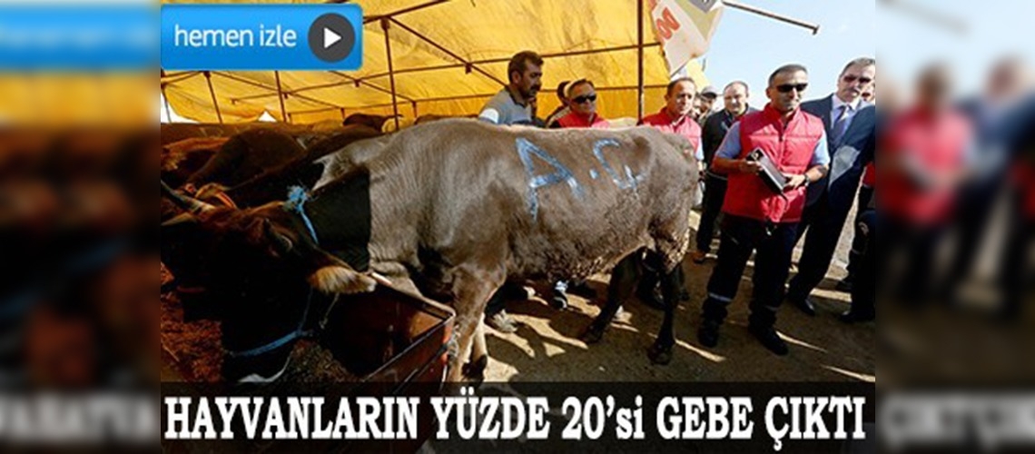 İzmirde kurban denetimi