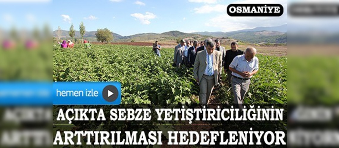 Osmaniyede Domates ve Patlıcan Tarla Günü