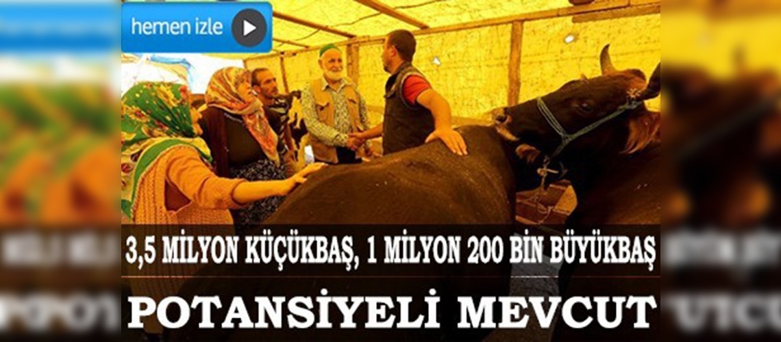 Kurbanlık hayvan bulmada sıkıntı yaşanmayacak