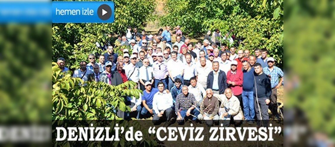 Denizlide ceviz zirvesi