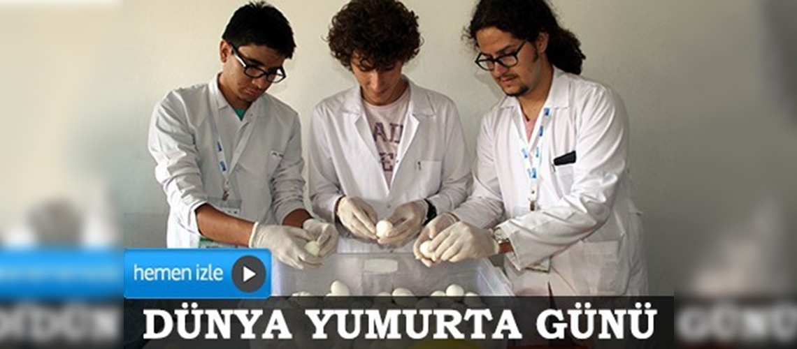 Tavuk etinde antibiyotik ve hormon yok