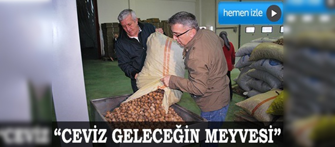 Ceviz üretimimiz artacak